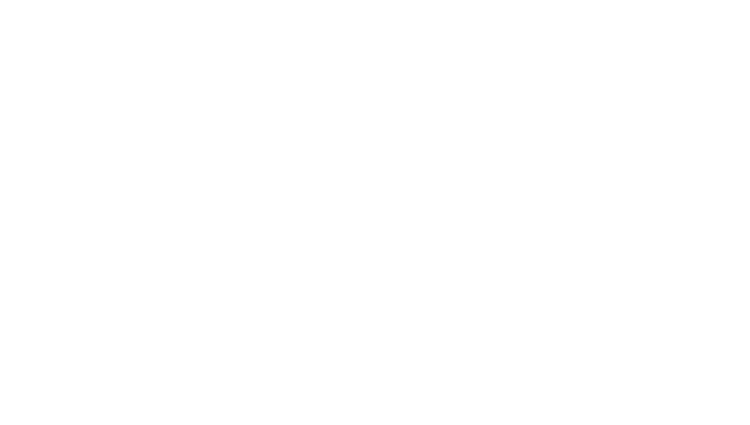 CACI International